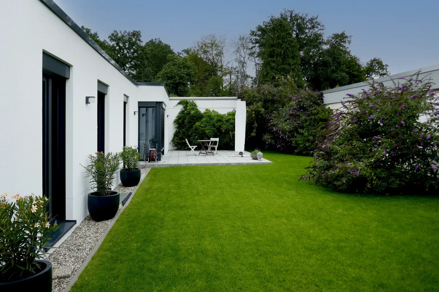 Blick in den geschützten Innenhof eines Atriumhauses mit grünem Rasen, Sitzgelegenheit und dichter, purpurfarbener Strauchbepflanzung.